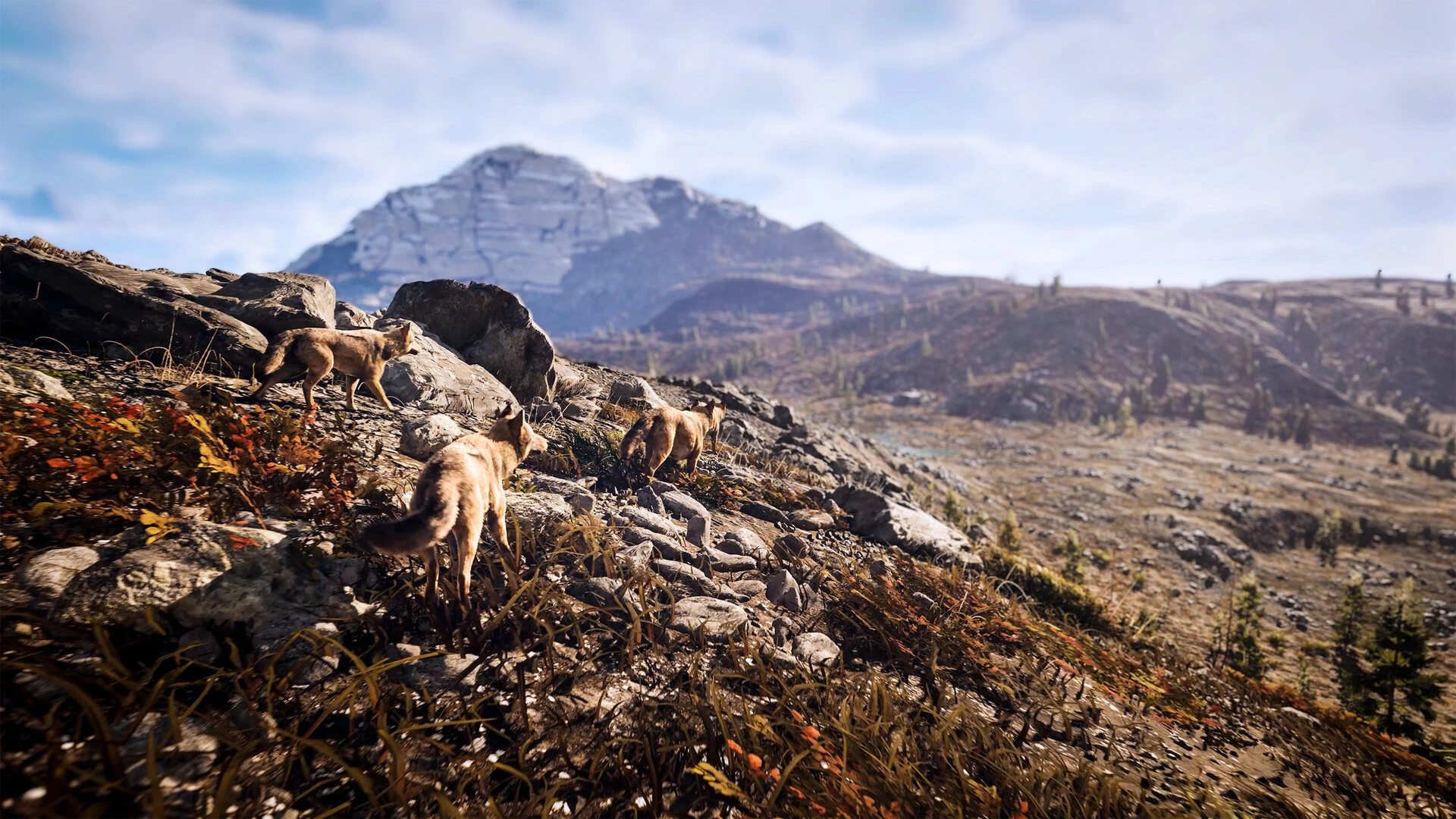 Hunting Simulator 3